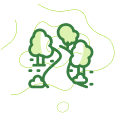 Icon mit Bäumen und Weg als Symbol für Aufforstung durch PLANT-MY-TREE