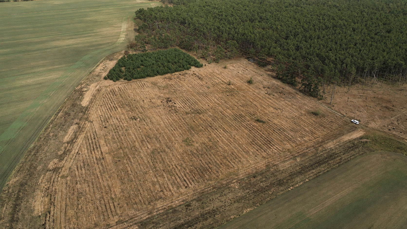 Dauerhaft geschützte Natur- und Waldfläche